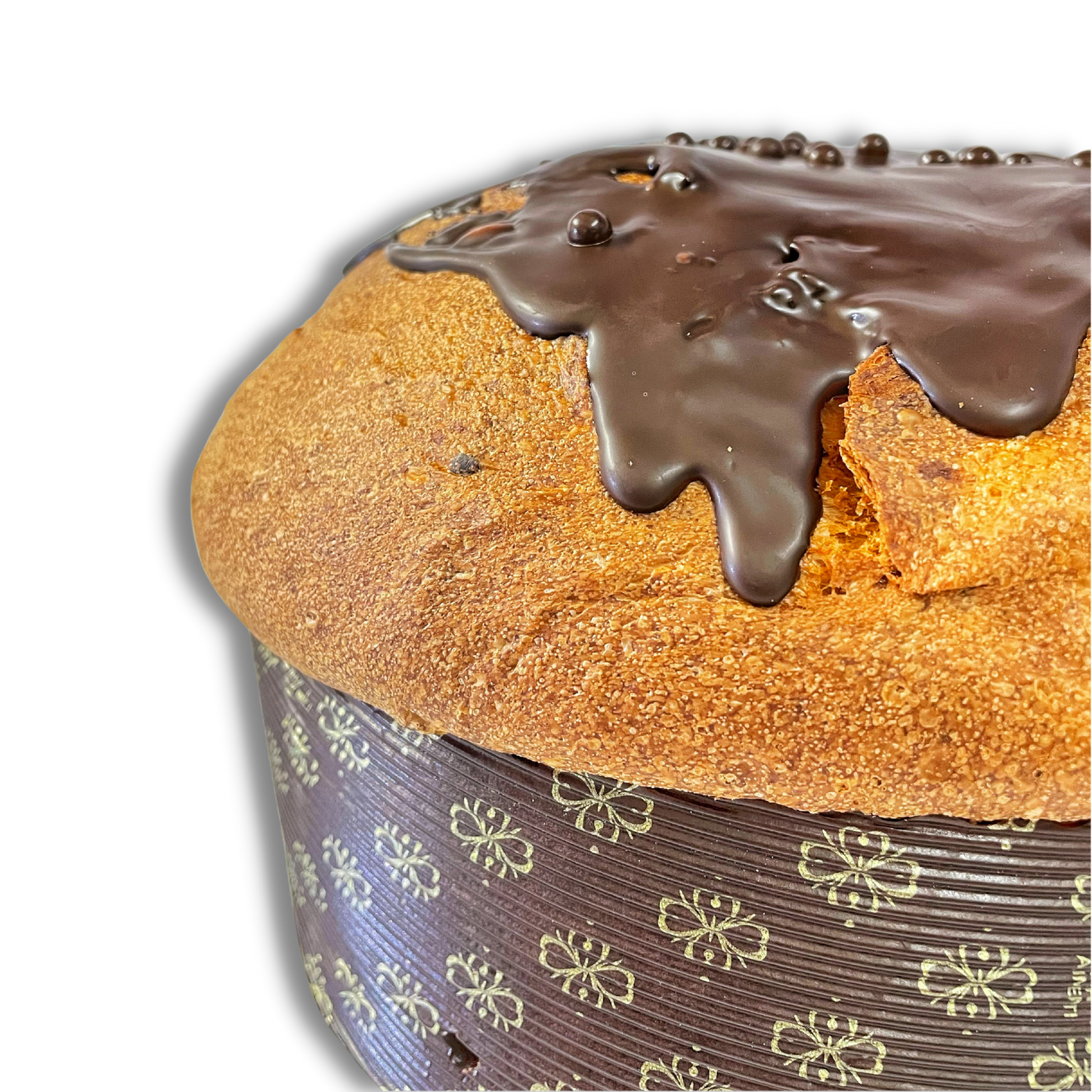 Panettone SAKER- Albicocca e Cioccolato